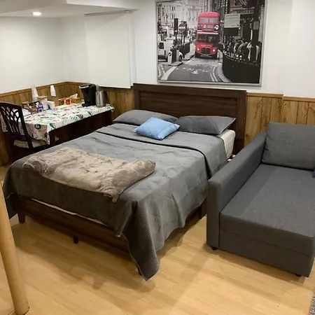 Big Oasis Studio Near Airport Yyz Hotel